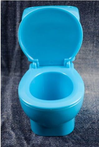 Baby and Toddler (Kids Portable Travel Potty)